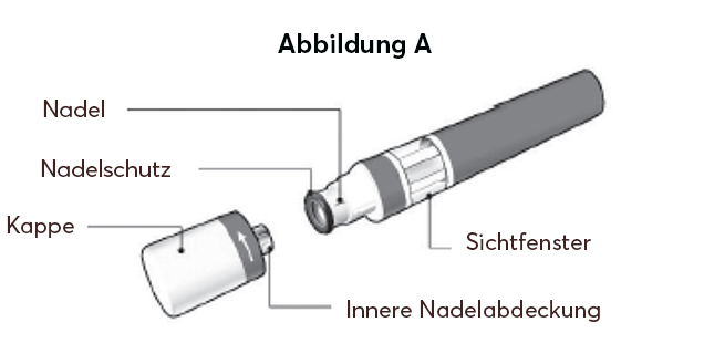 Updated_Abbildung A
