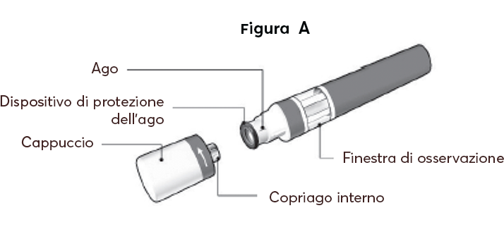Updated_Figura_A