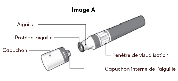 Updated_French_A