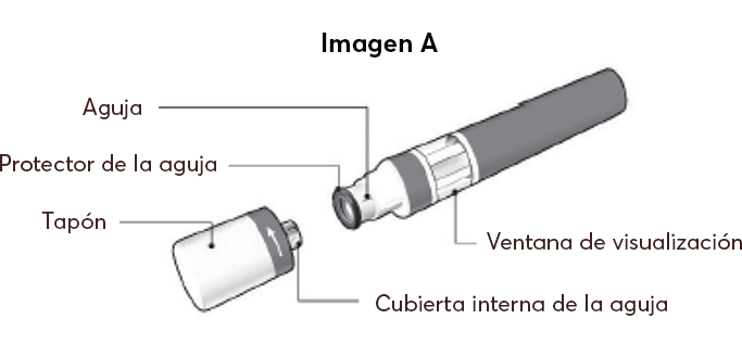Updated_Imagen_A