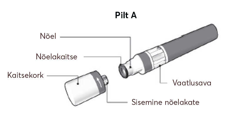 Pilt-A