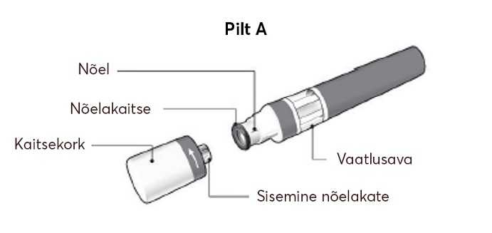 Pilt-A.new1