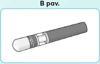 B-pav_new