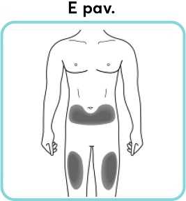 E-pav_new