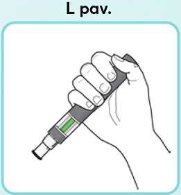 L-pav_new