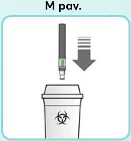 M-pav_new