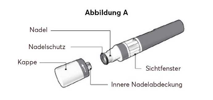 Abbildung-A_new