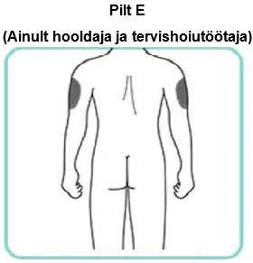 Pilt E new