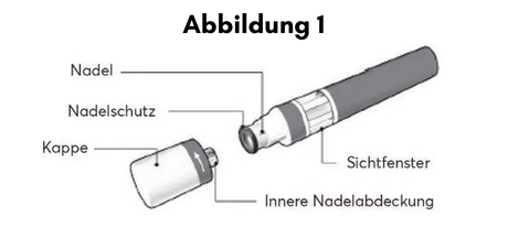 Abbildung_1.png