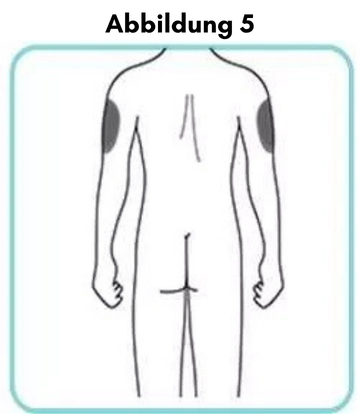 Abbildung_5.png