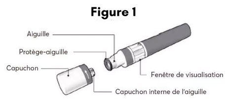 Figure1.png