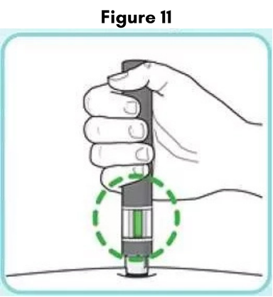 Figure11.png
