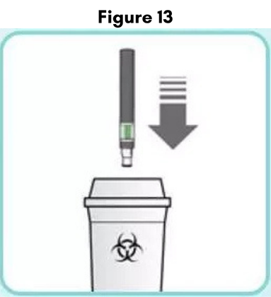 Figure13.png