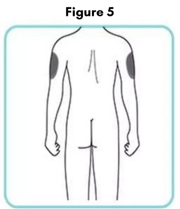 Figure5.png