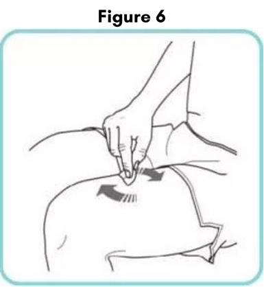 Figure6.png