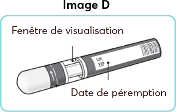 French_image_D