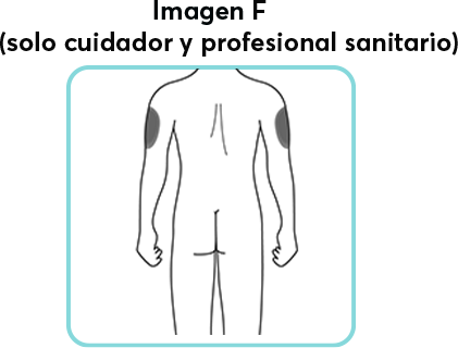 Updated_Imagen_F
