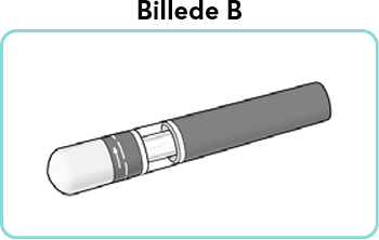 B.png
