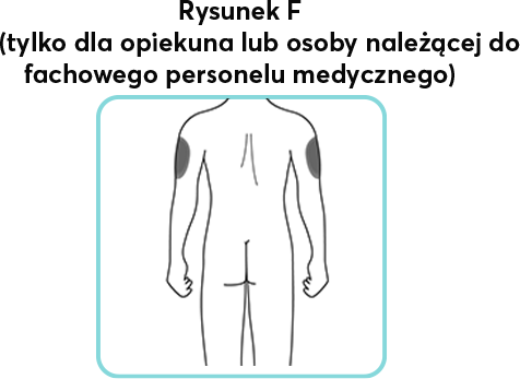 PICT F.png