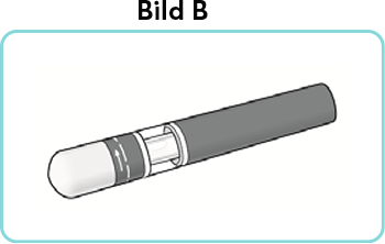 B.png