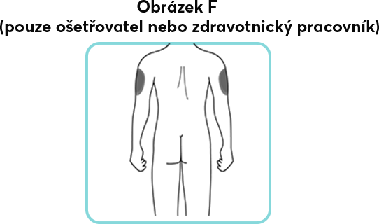 Image F.png