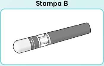 Stampa_B.jpg