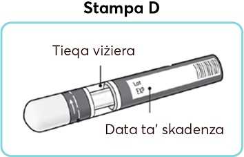Stampa_D.jpg