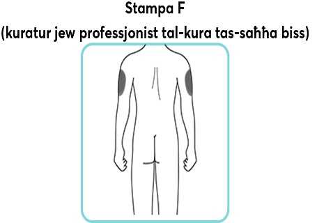 Stampa_F.jpg
