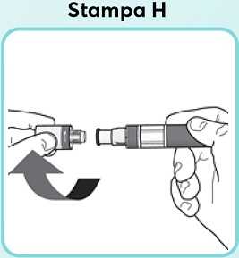 Stampa_H.jpg