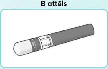 B-attēls.new.1