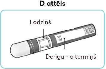 D-attēls.new