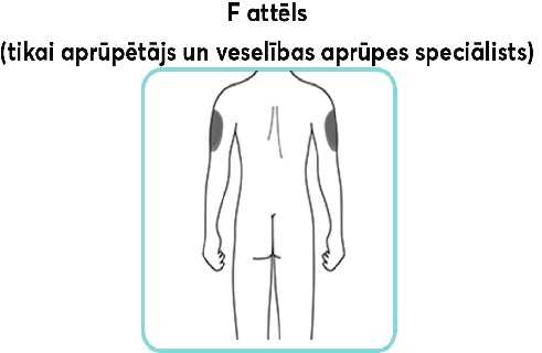 F-attēls.new