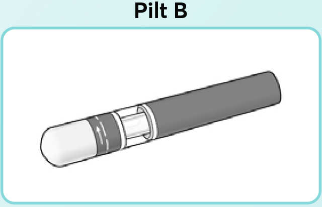 Pilt-B
