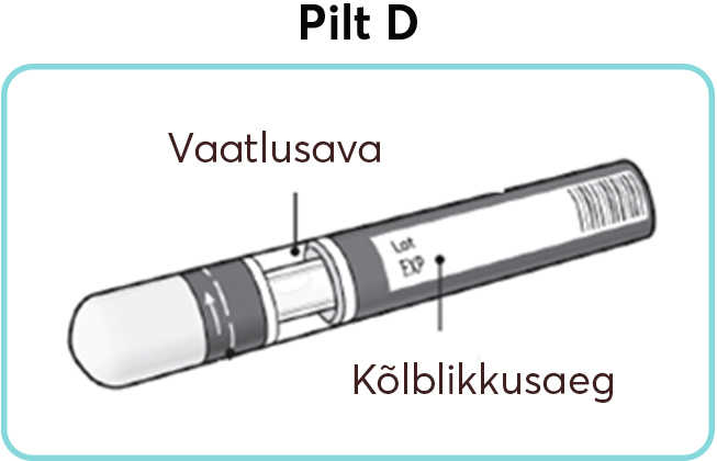 Pilt-D