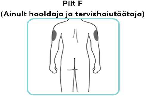 Pilt-F.new