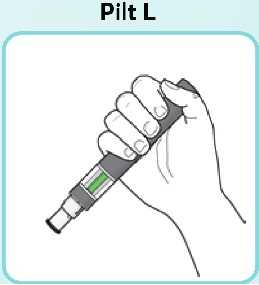 Pilt-L