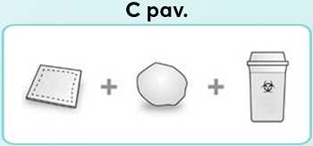 C-pav_new