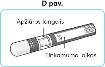 D-pav_new