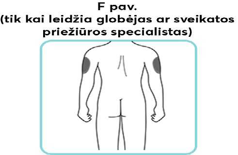 F-pav_new