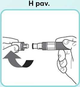 H-pav_new