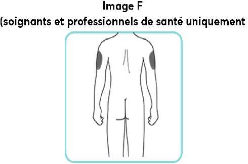 Image-F_new