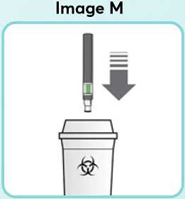 Image-M_new