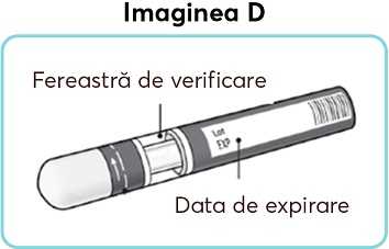 Imaginea-D_new