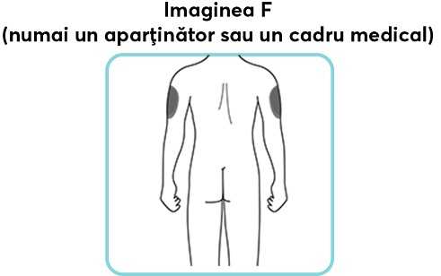 Imaginea-F_new