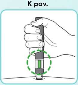 K-pav_new