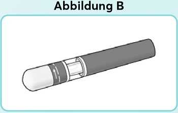 Abbildung-B_new