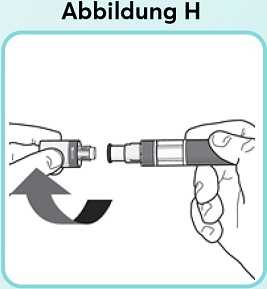 Abbildung-H_new